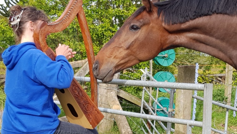 Het effect van muziek op dieren. Da Capo Coaching.