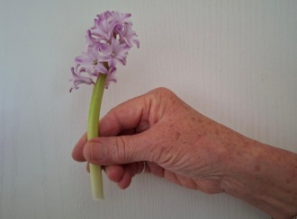 Impact, vriendelijk gebaar, Da Capo Coaching