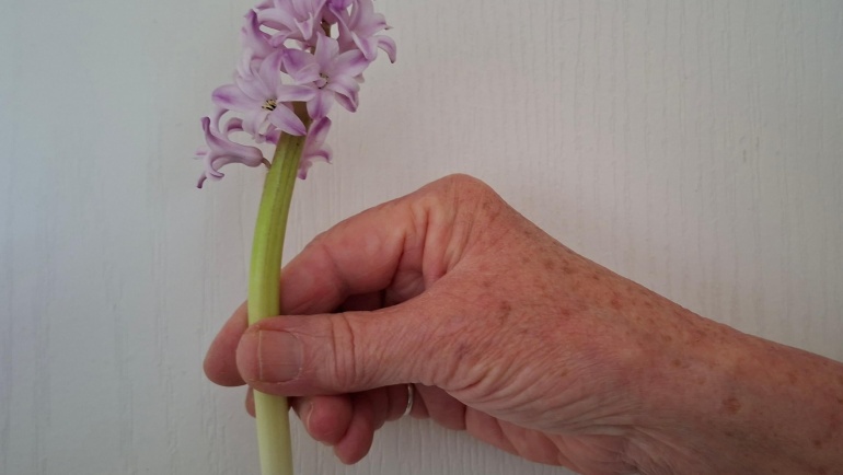 Impact, vriendelijk gebaar, Da Capo Coaching