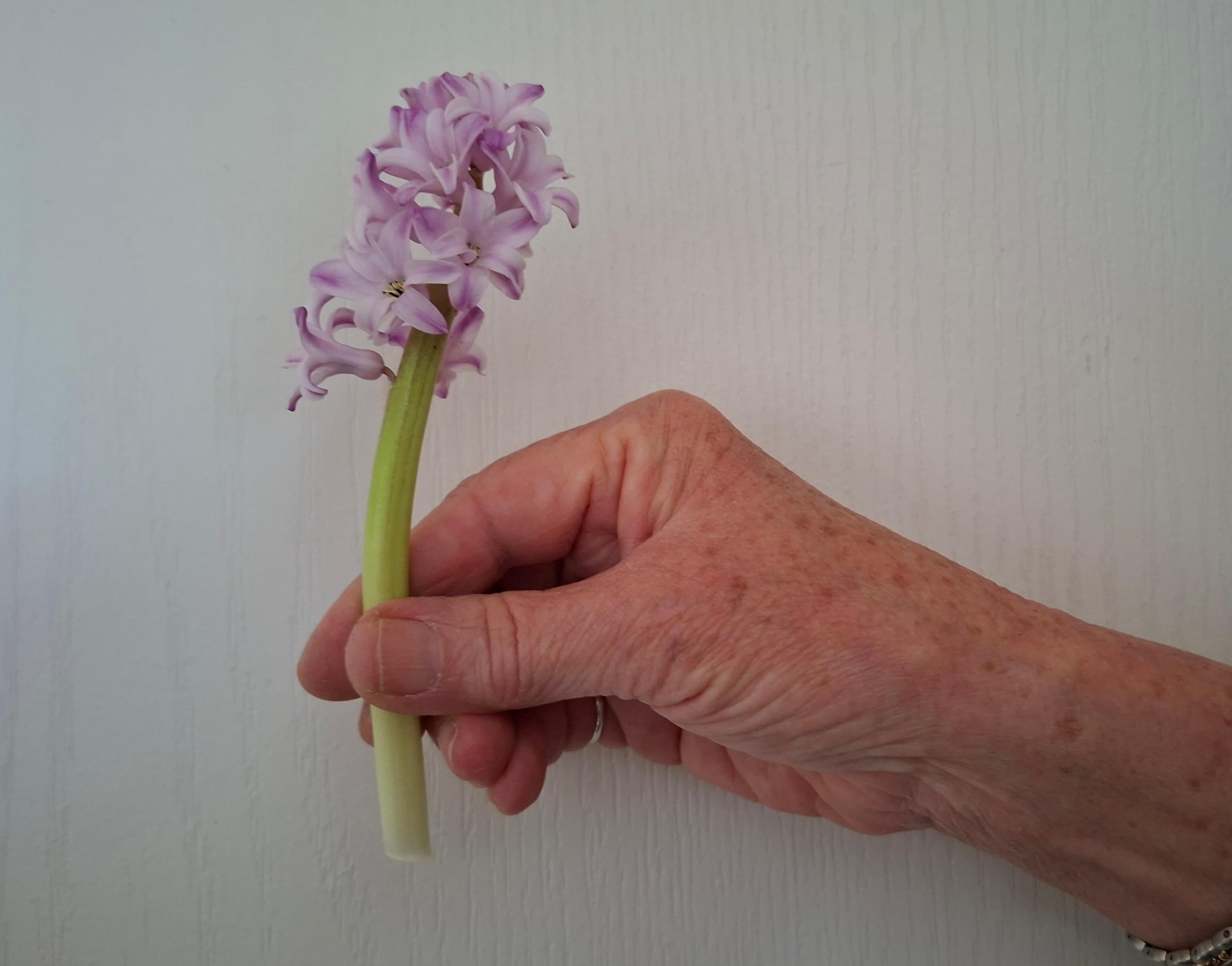 Impact, vriendelijk gebaar, Da Capo Coaching