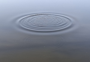 Impact, rimpels in de vijver
