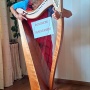 Nee, een harp in de coachkamer is niet zweverig!