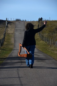 Weg met het stereotype beeld van de harp